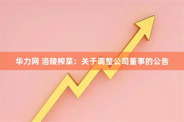 华力网 涪陵榨菜：关于调整公司董事的公告