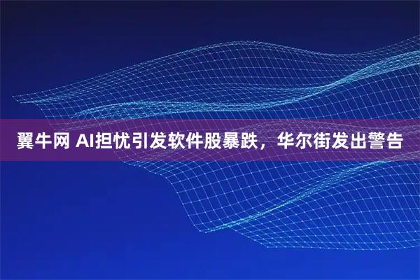 翼牛网 AI担忧引发软件股暴跌，华尔街发出警告